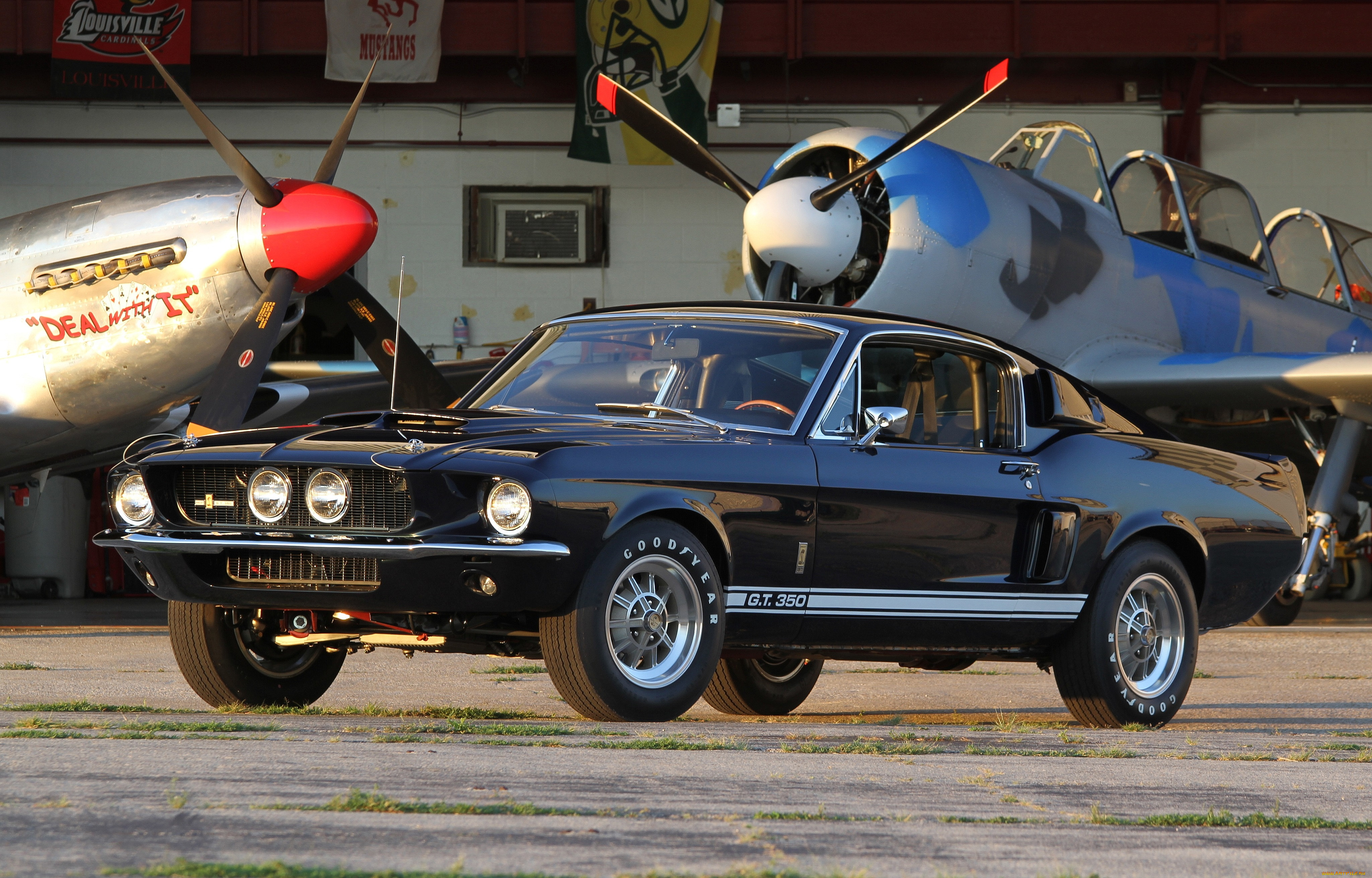 , mustang